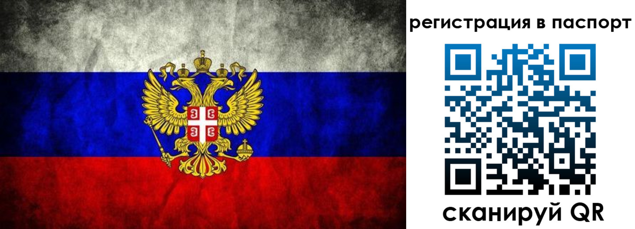 временная регистрация купить в Курганской области